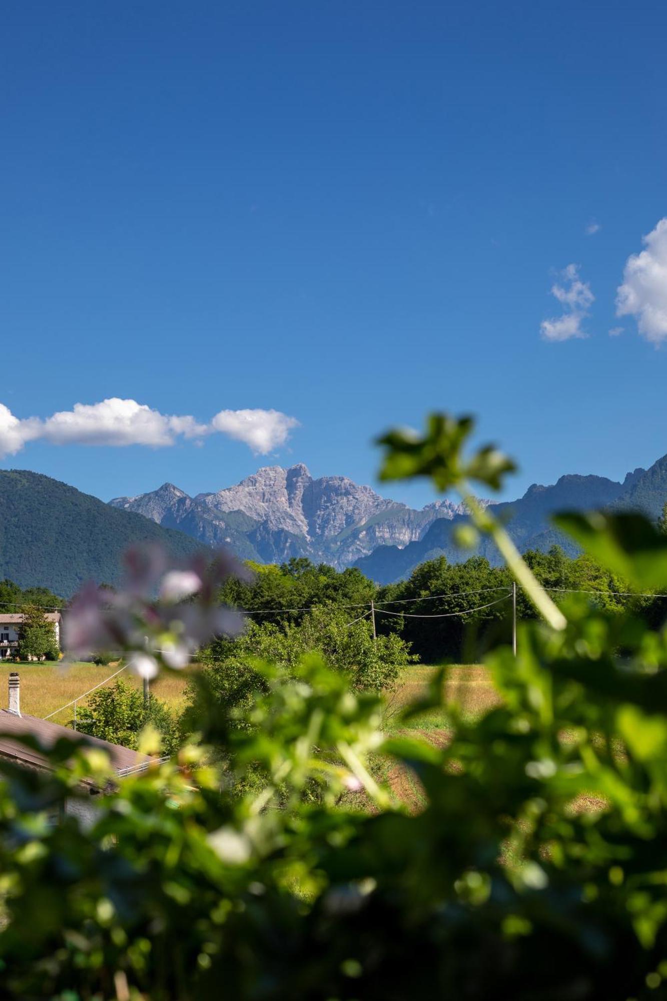 Hotel Ristorante Sagittario Feltre Kültér fotó